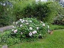 Bed & Breakfast I Cedri B&B Quattro Castella