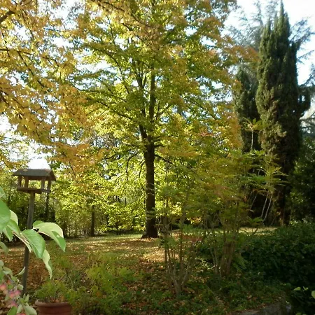 I Cedri B&B