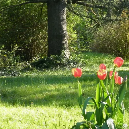 Bed & Breakfast I Cedri B&B