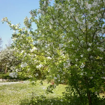 I Cedri B&B Bed & Breakfast *